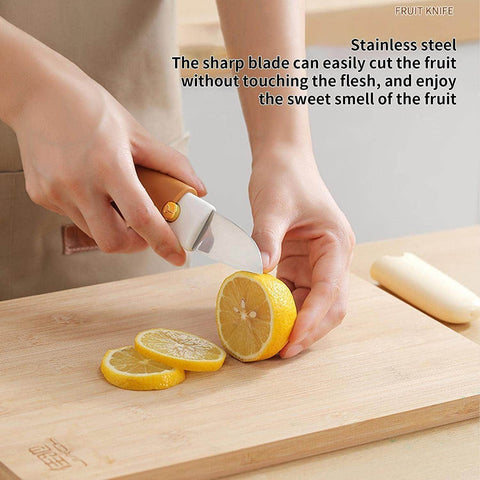 Vegetable Peeler 2 in 1 Stainless Steel Potato Peeler with Knife Fruit Knife Peeler, Vegetable Peeler Dual-Use Knife, Outdoor Kitchen Tools Camping Hiking Portable Peeling