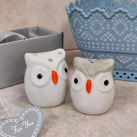 Gardino Delightful Ceramic Owl Salt and Pepper Shakers Set - Add a Touch of Fun to Your Dining Table